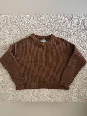 Classic Ribbed Cropped Crewneck Sweater in Brown